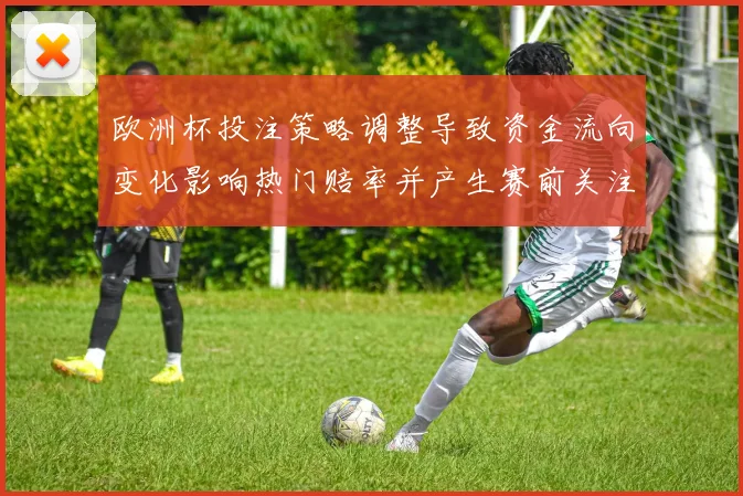 欧洲杯投注策略调整导致资金流向变化影响热门赔率并产生赛前关注点