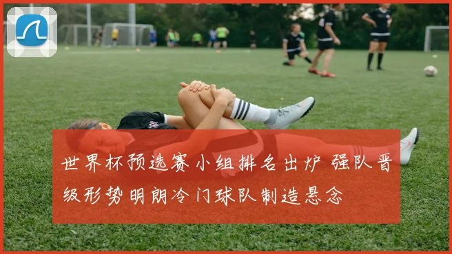 世界杯预选赛小组排名出炉 强队晋级形势明朗冷门球队制造悬念