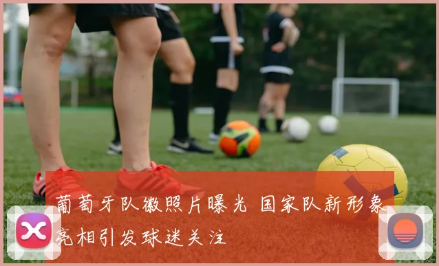 葡萄牙队徽照片曝光 国家队新形象亮相引发球迷关注